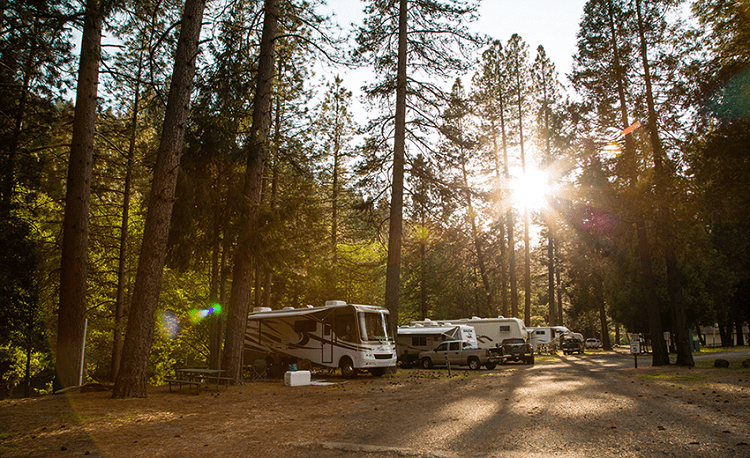 #5 Yosemite Pines RV Park: Yosemite, California